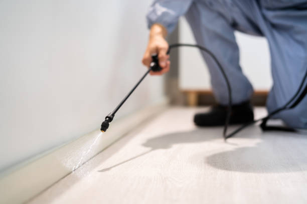Licensed Mosquito Control service in West Sharyland, TX - Show Me Pest Control