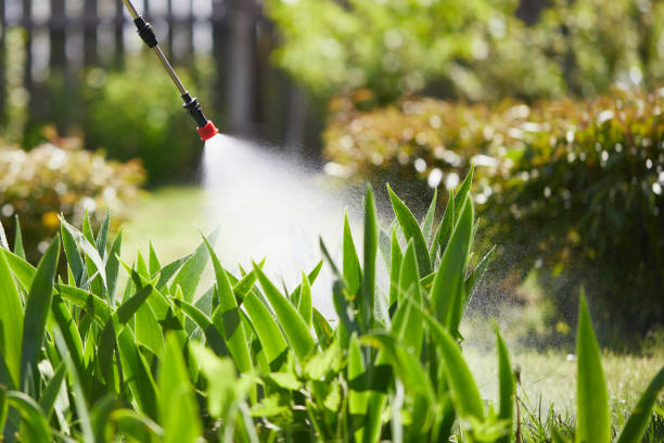 24/7 Emergency Mosquito Control experts in West Sharyland, TX