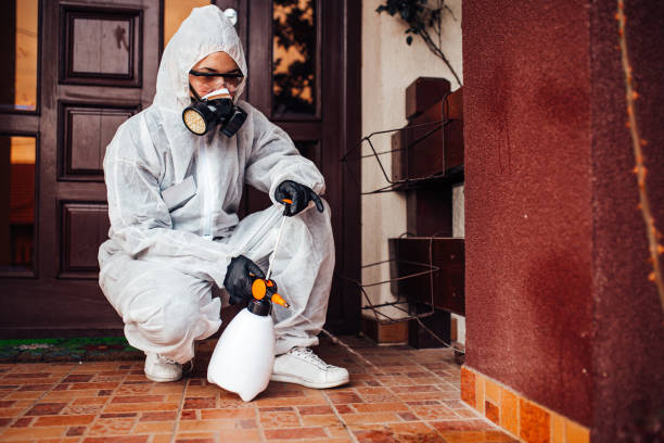 Reliable Mosquito Control contractor in West Sharyland, TX by Show Me Pest Control